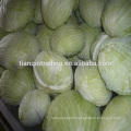 2017 new crop chinese fresh flat cabbage
